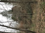resIMG_20191126_163725_6132.jpg